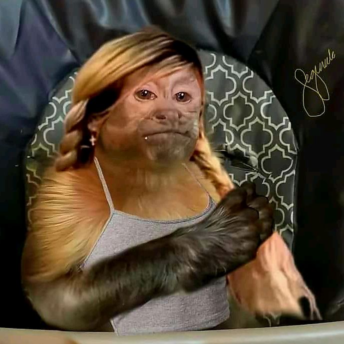 monkeyzueiro1