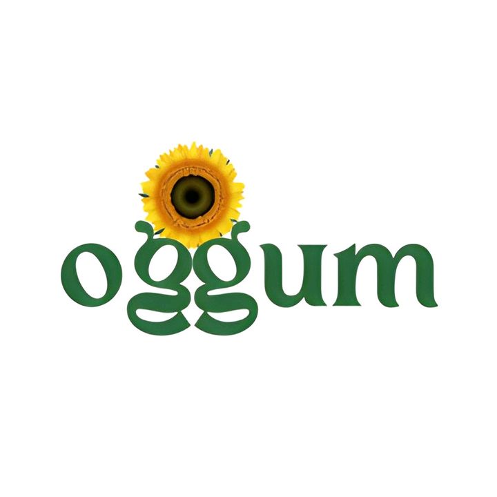 Centro Meditación Oggum