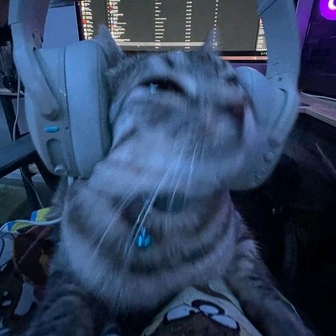 ★𝓡𝓑𝓛𝓧 𝓢𝓣𝓞𝓡𝓘𝓔𝓢★