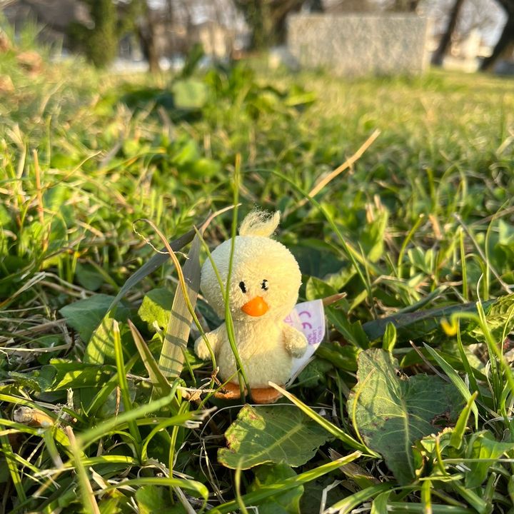 ひよこ🐥🍀