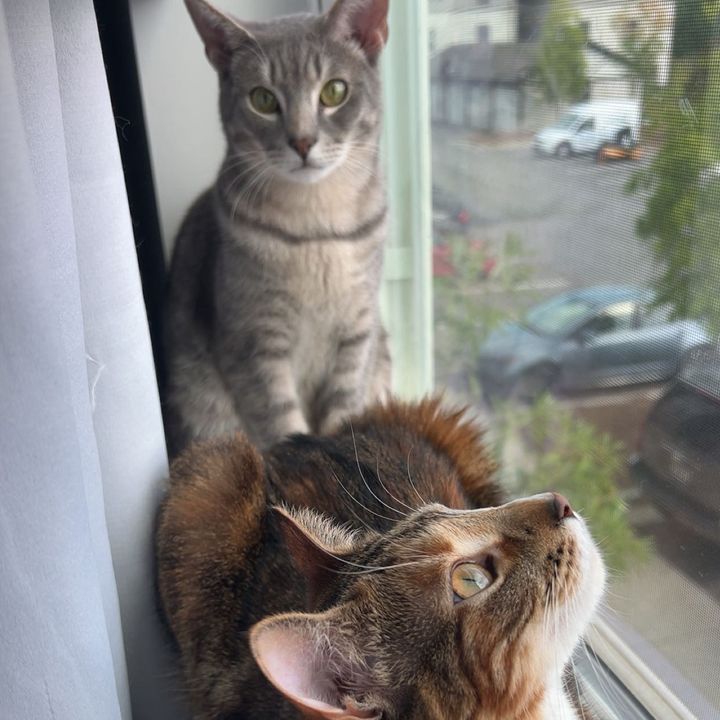 Sushi and Buttercup