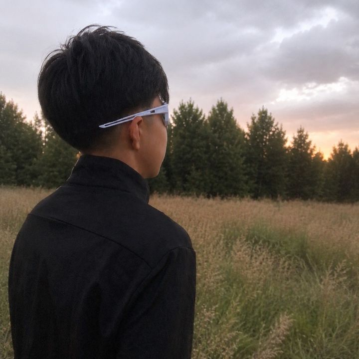 alan_vls