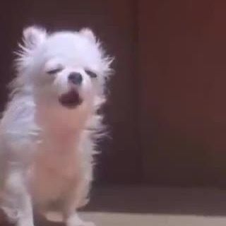 buồn ngủ lắm rồi aaa