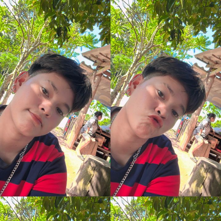 Dollar.🌻