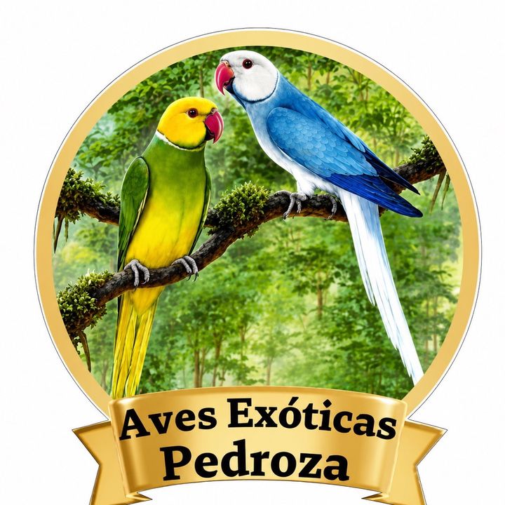 avesexoticas pedroza