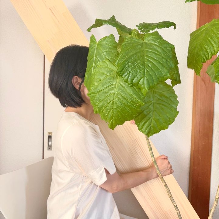 ほみた⌇1300万足りず未完成の中古家に住む人