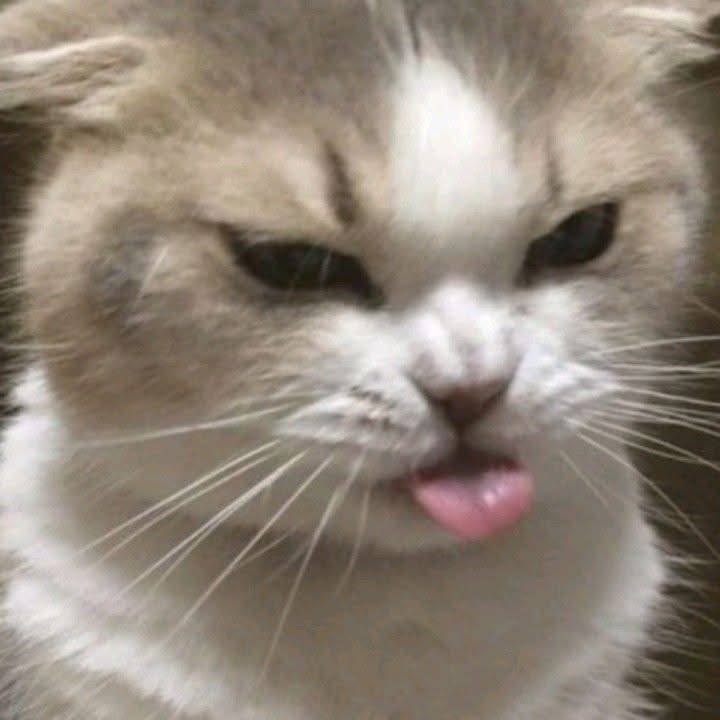 neeeeeewn