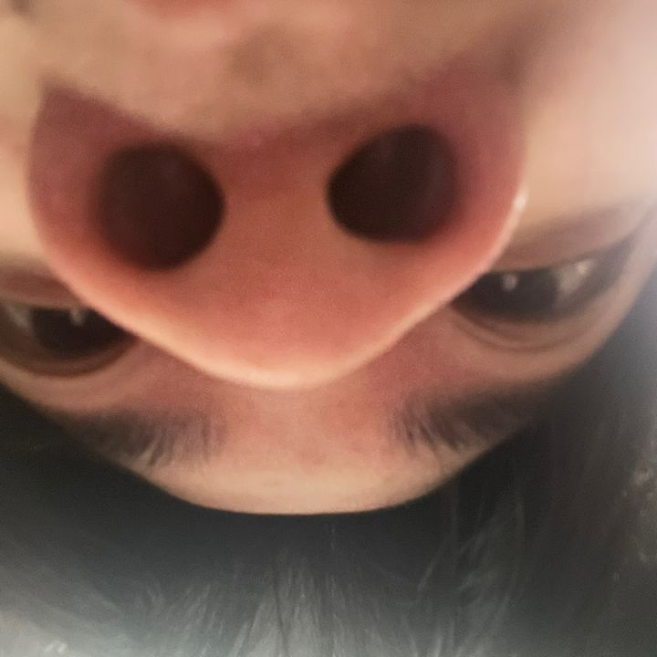 VL