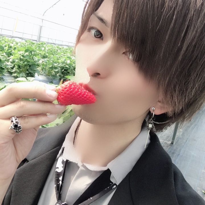 はる王子👑🍬🐬☕️