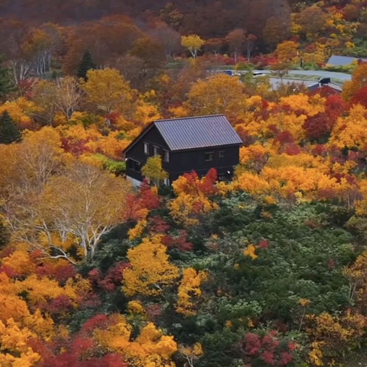visitjapantoday