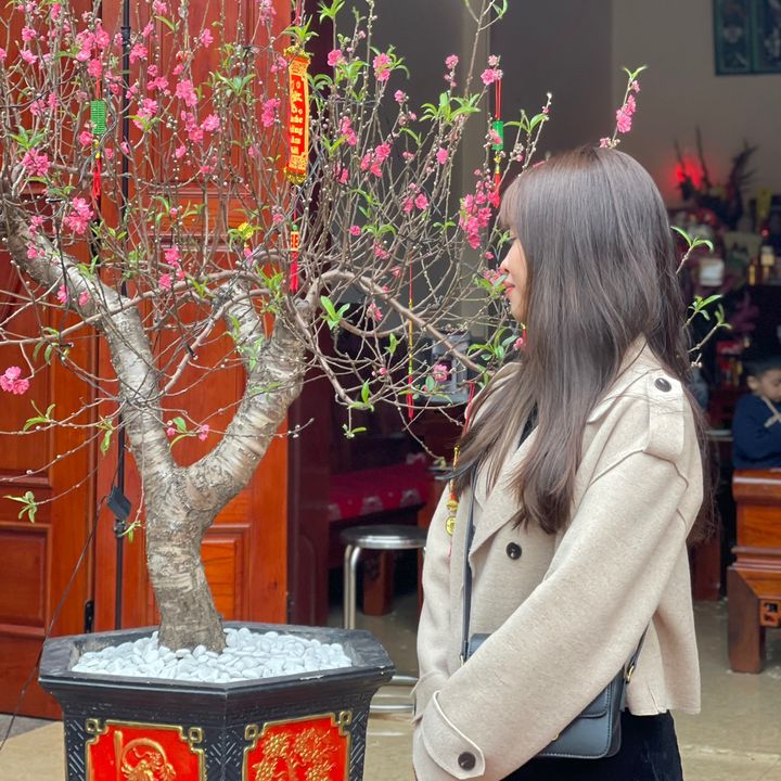 DaoAnh Gia Dụng