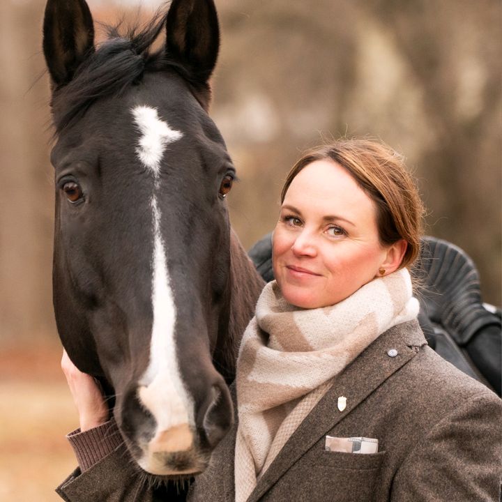 blindly follow horses