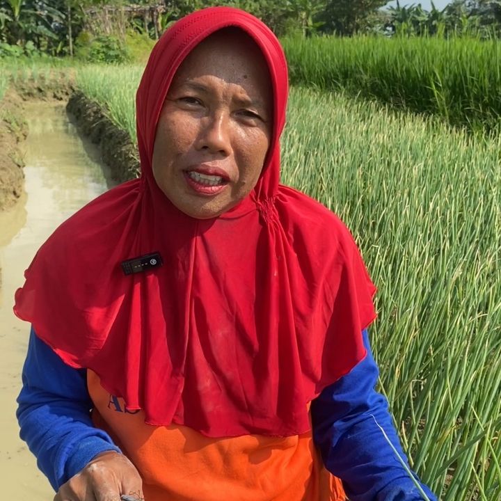 dimasdisawah