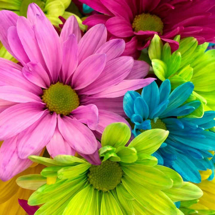 Fayas.