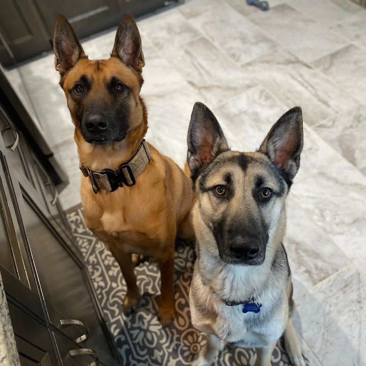 tailsofkiloandluna