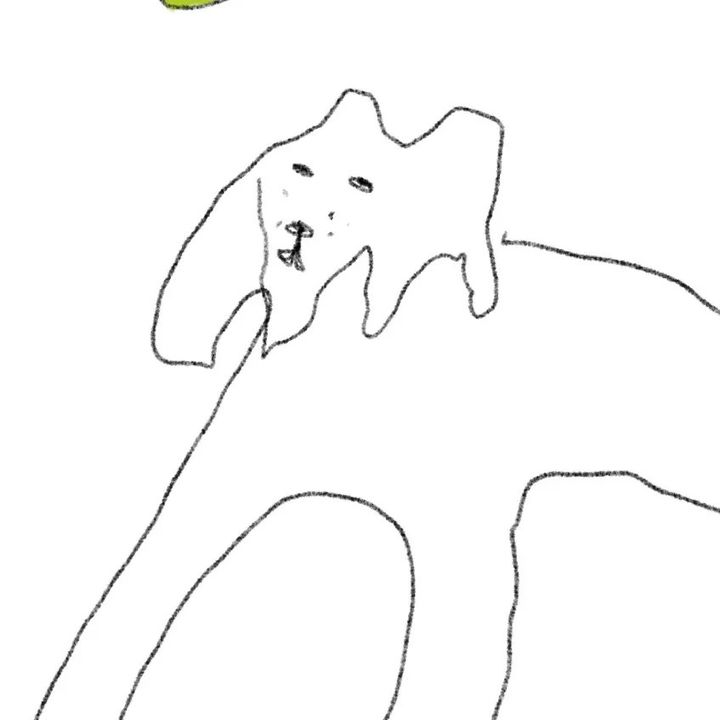 น.ด