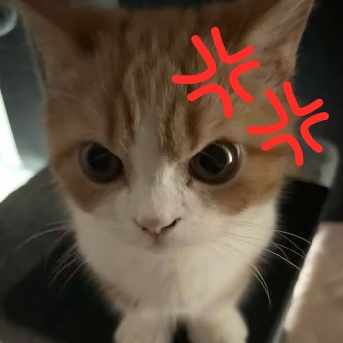 chiki ちき