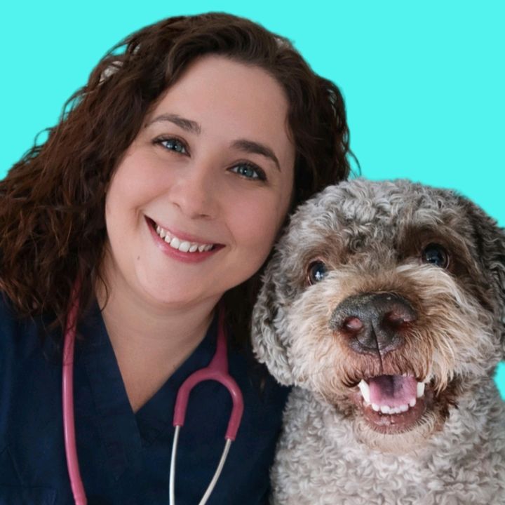 Bianca Veterinaria