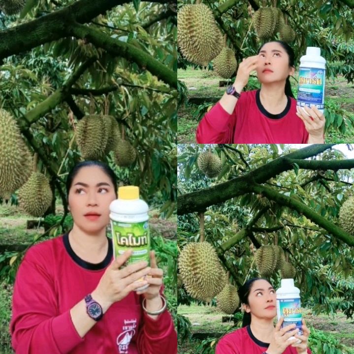 ฉิมคนทำสวน..