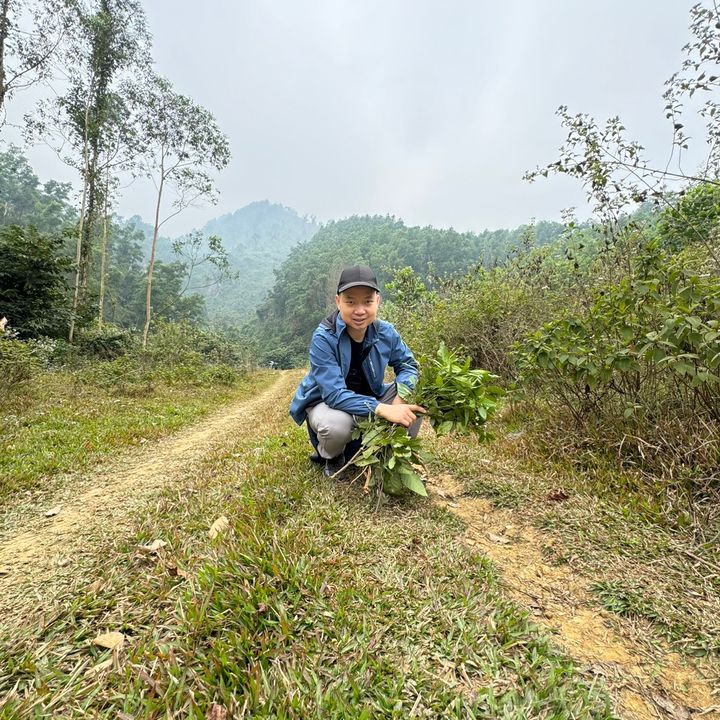 Trà Zone thảo mộc