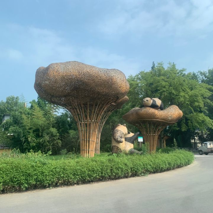 蜀州大熊猫