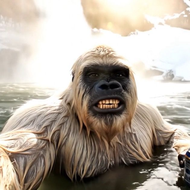 animalolympia