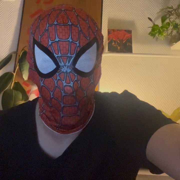 spider_story