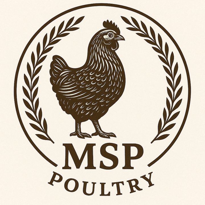 MSP Poultry ✪