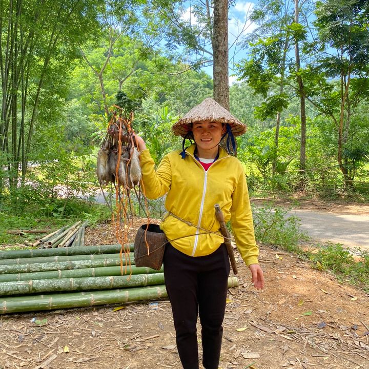 Nhiên Miền Núi
