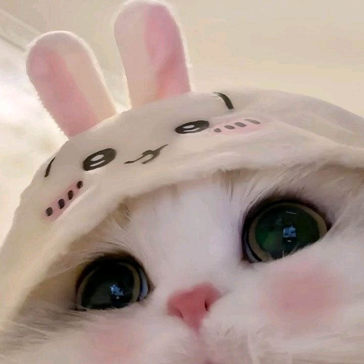 Sweety ִֶָ >ᴗ< ִֶָ