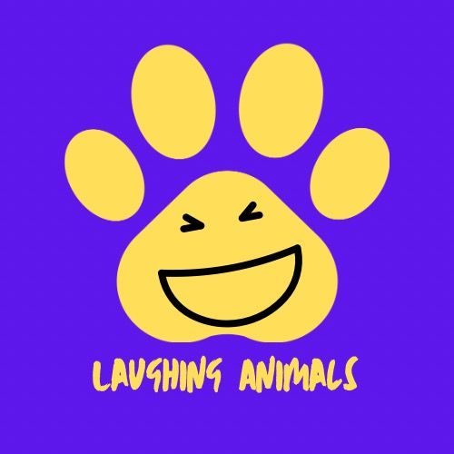 Laughing Animals