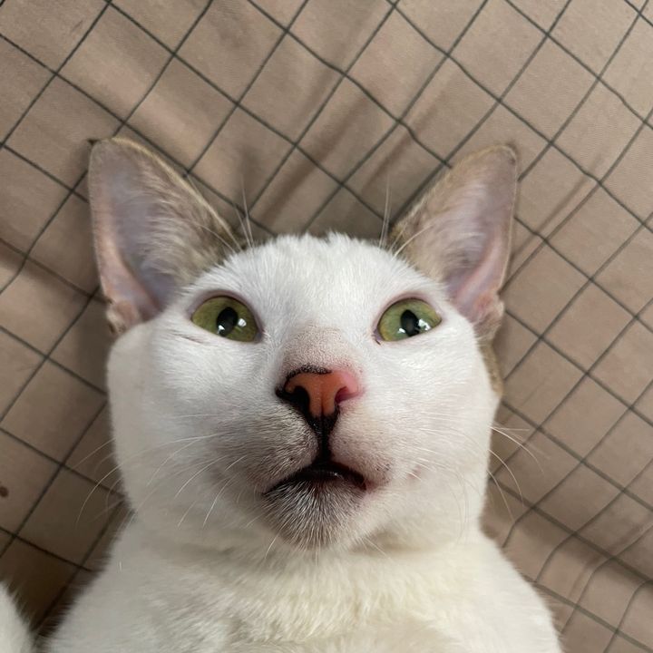 𝐁𝐞𝐚𝐧𝐝𝐨𝐬𝐟𝐢𝐧𝐝𝐬