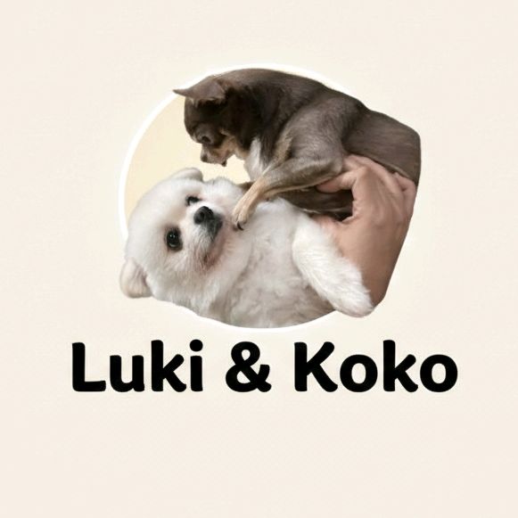 Luki & Koko 🐶🐶