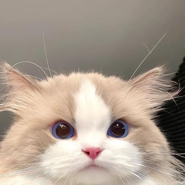 Bàn chân bé 🐾