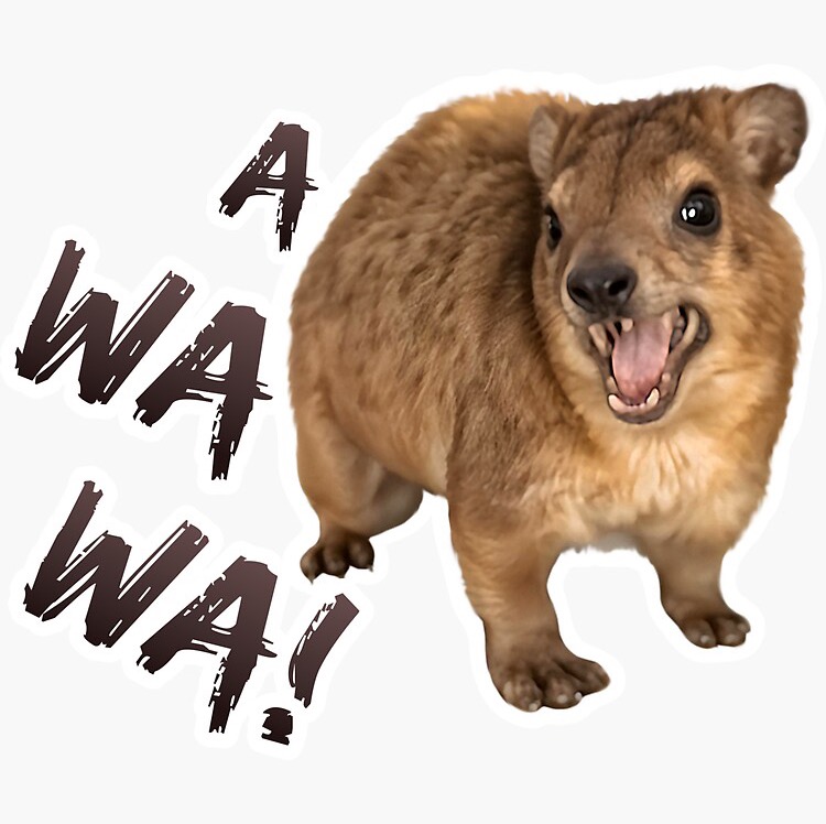 Awawa Daily