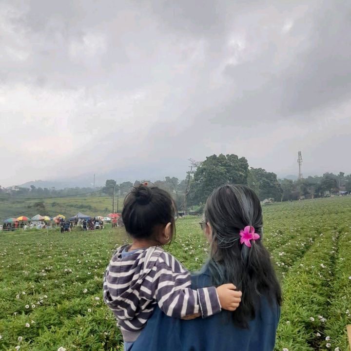 SAHABATTANI.STOREE