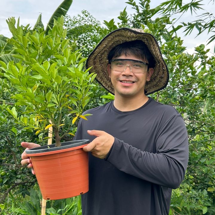ชีวิตติดป่า-ต้นไม้ของเท่