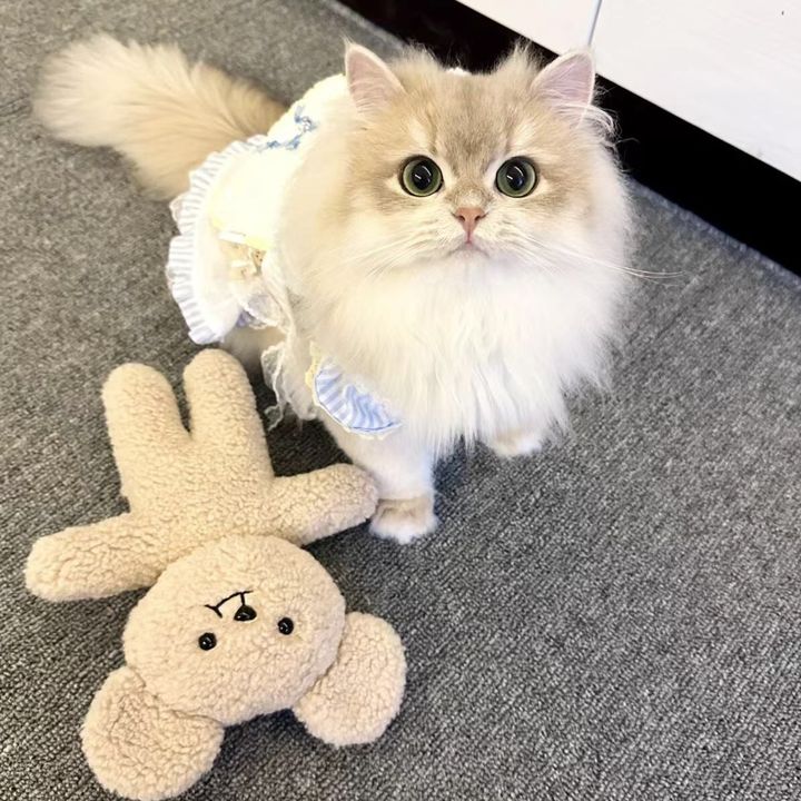 ffojpsjaiwy
