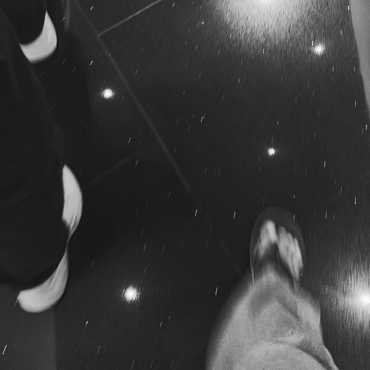 🛍️