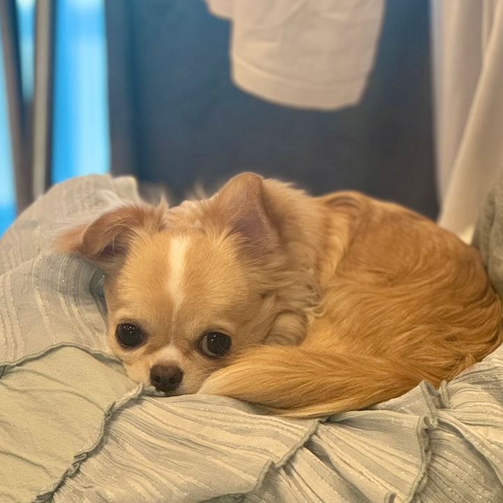 なぎを見て