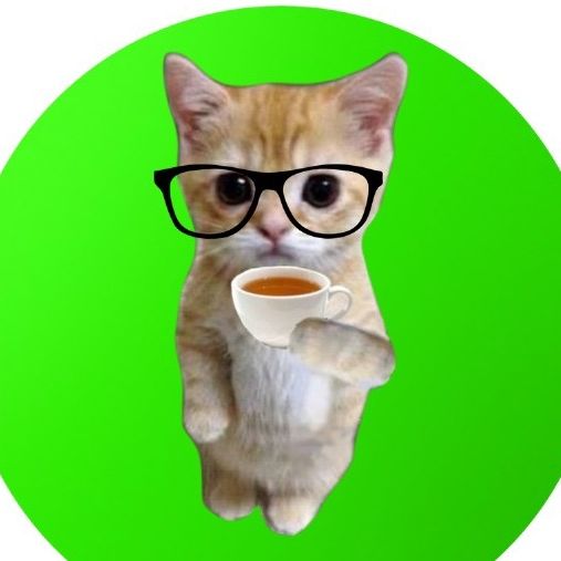 gatinhosabido
