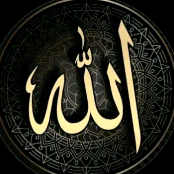 user60589141653