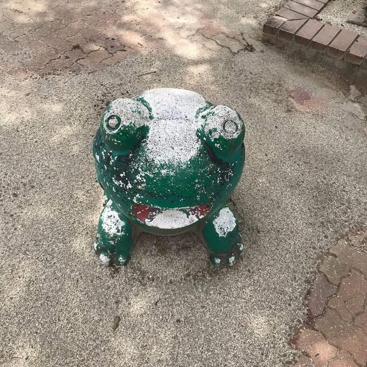 たくぼん