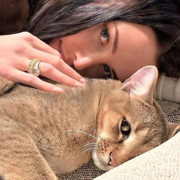 Luna💫