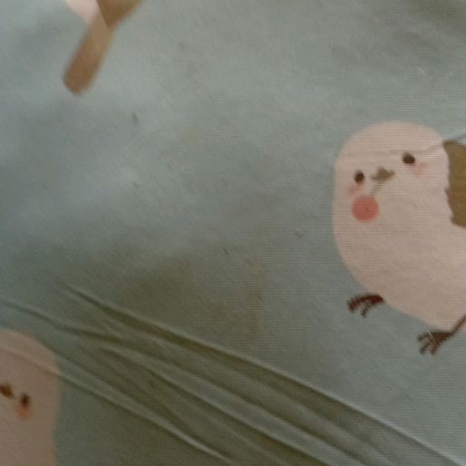 む