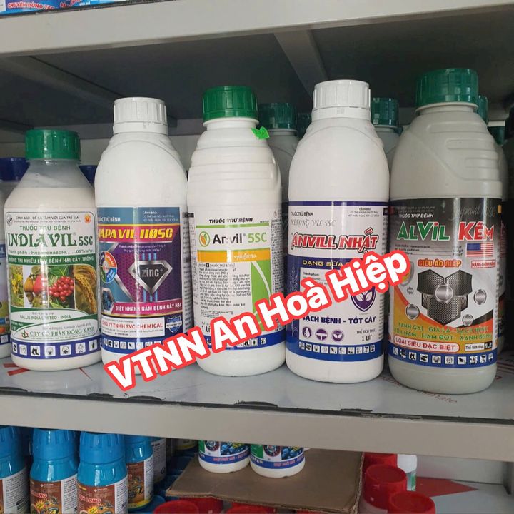 Shop BVTV An Hoà Hiệp