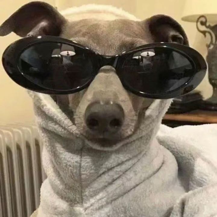 Gadget.Leoo