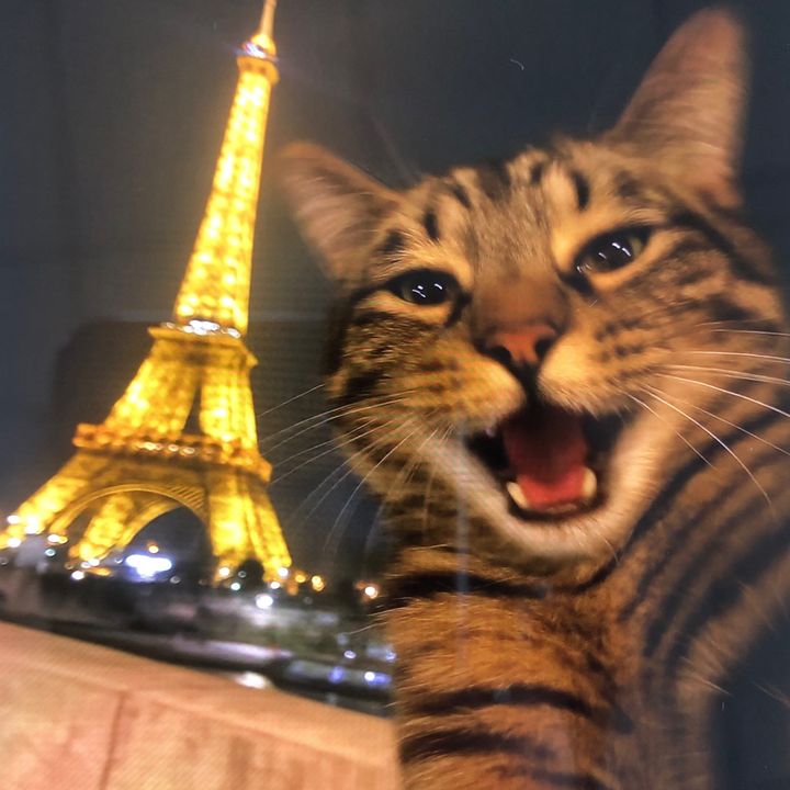 Le Petit Plus