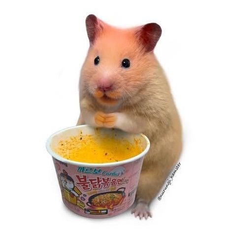 はむぱん