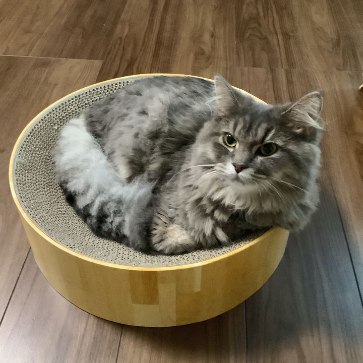 スズ サブちゃん